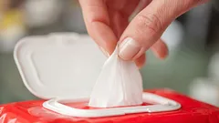 Nikdy to nečistite dezinfekčnými obrúskami: odborníci vymenovali 8 vecí